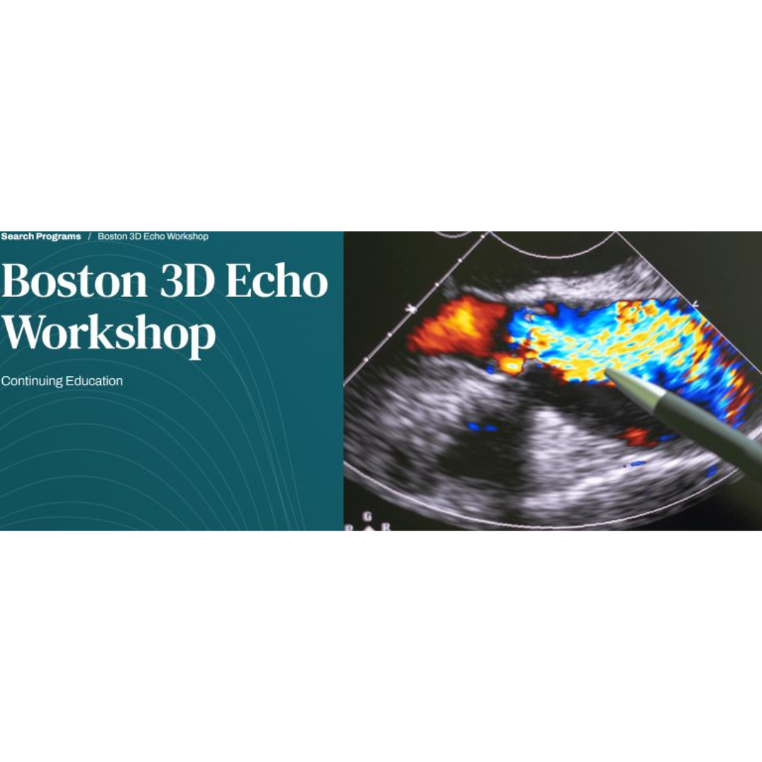Harvard Boston 3D Echo Workshop 2025