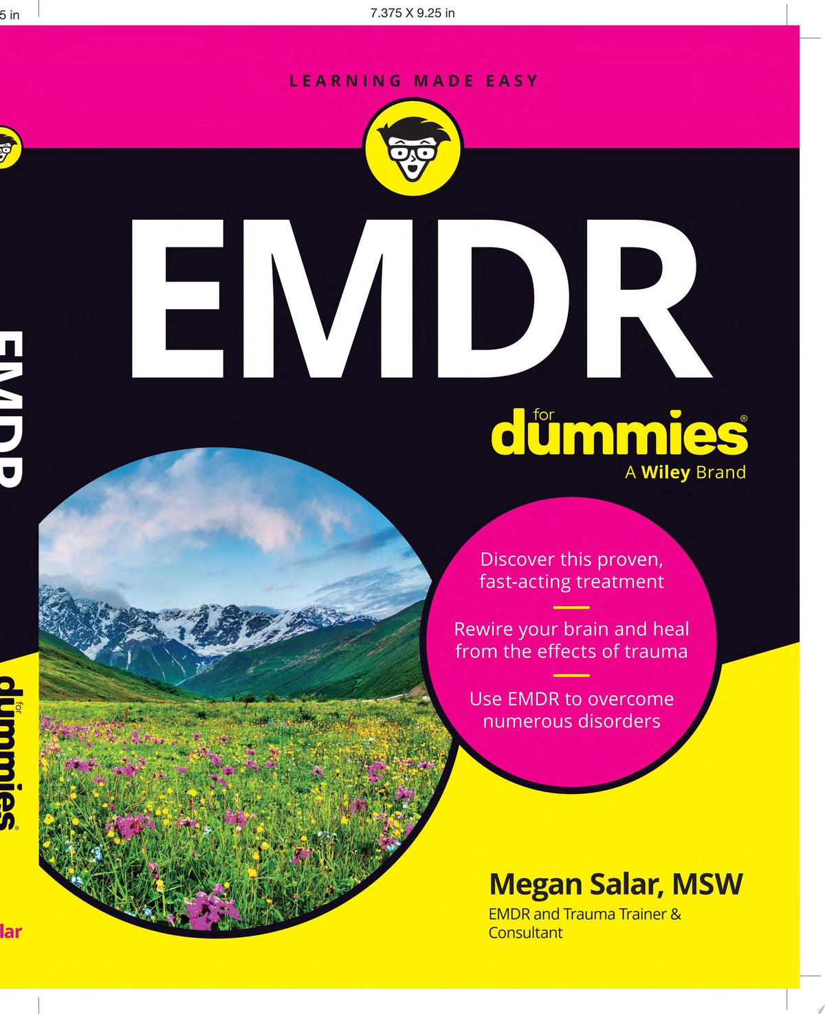 EMDR For Dummies 1st Edition by Wiley Blackwell PDF