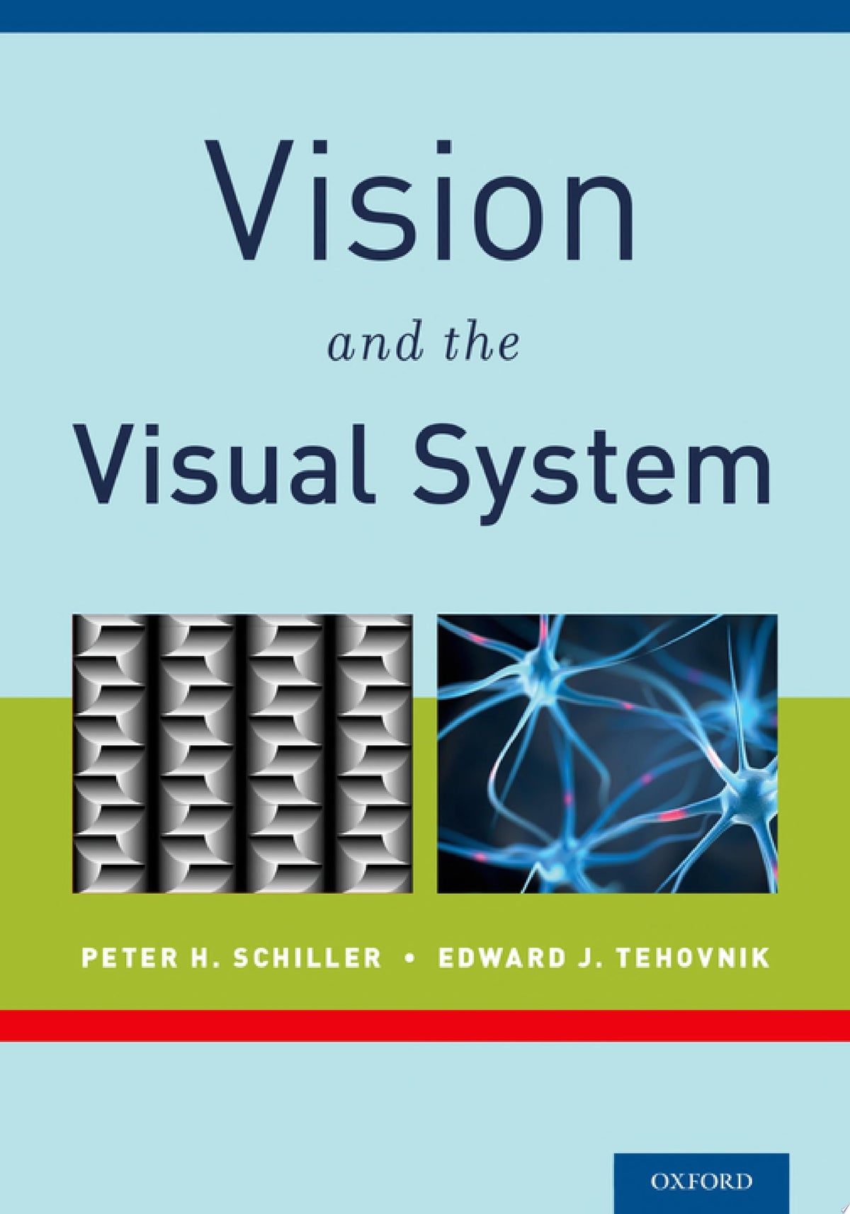 Vision And The Visual System 1st Edition by Oxford University Press PDF