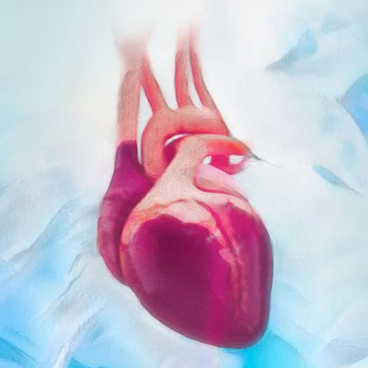 Cardiac Surgery Certification (CSC) Review Course 2022 (Videos + Slides + Quiz)