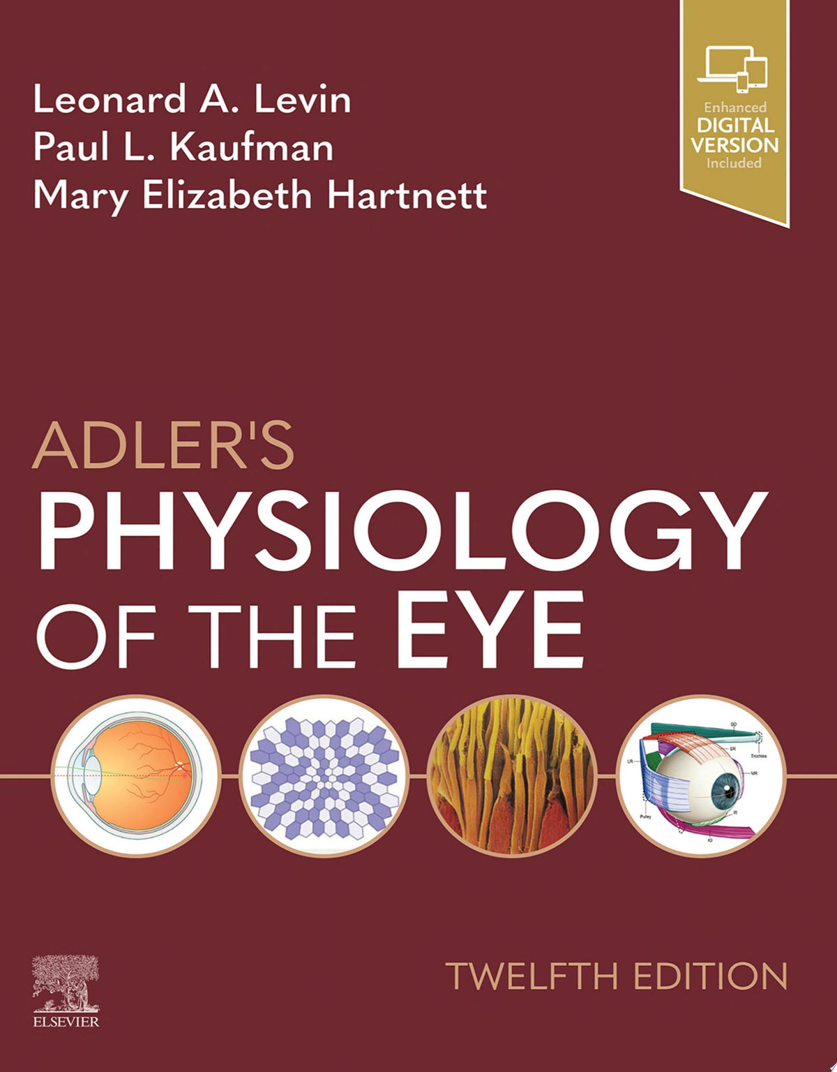 Adler's Physiology of the Eye 12th Edition PDF