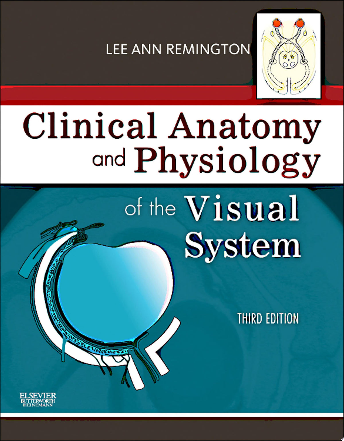 Clinical Anatomy and Physiology of the Visual System 4th Edition by Goodwin PDF