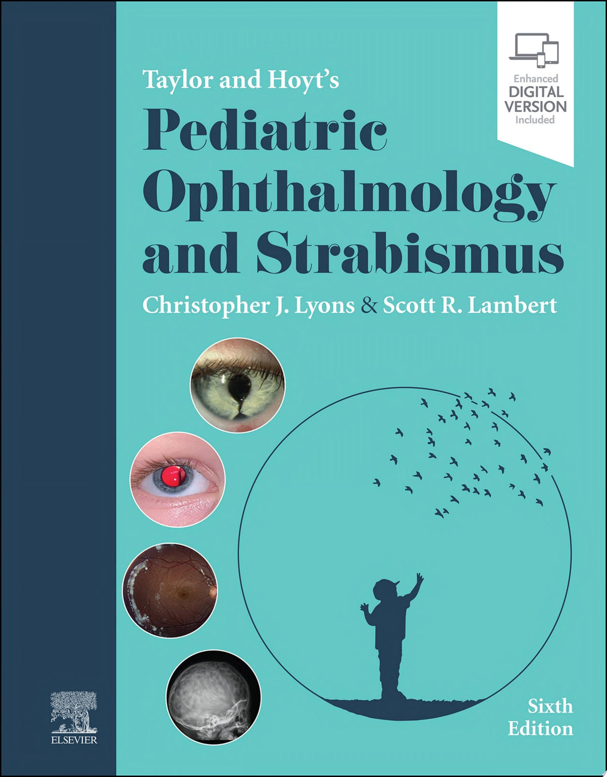 Ophthalmology Review A Case-Study Approach 2nd Edition PDF