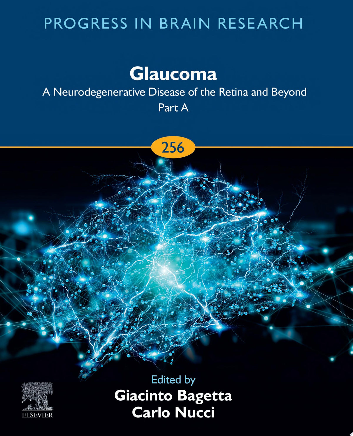 Glaucoma A Neurodegenerative Disease of the Retina and Beyond Part A 1st Edition PDF