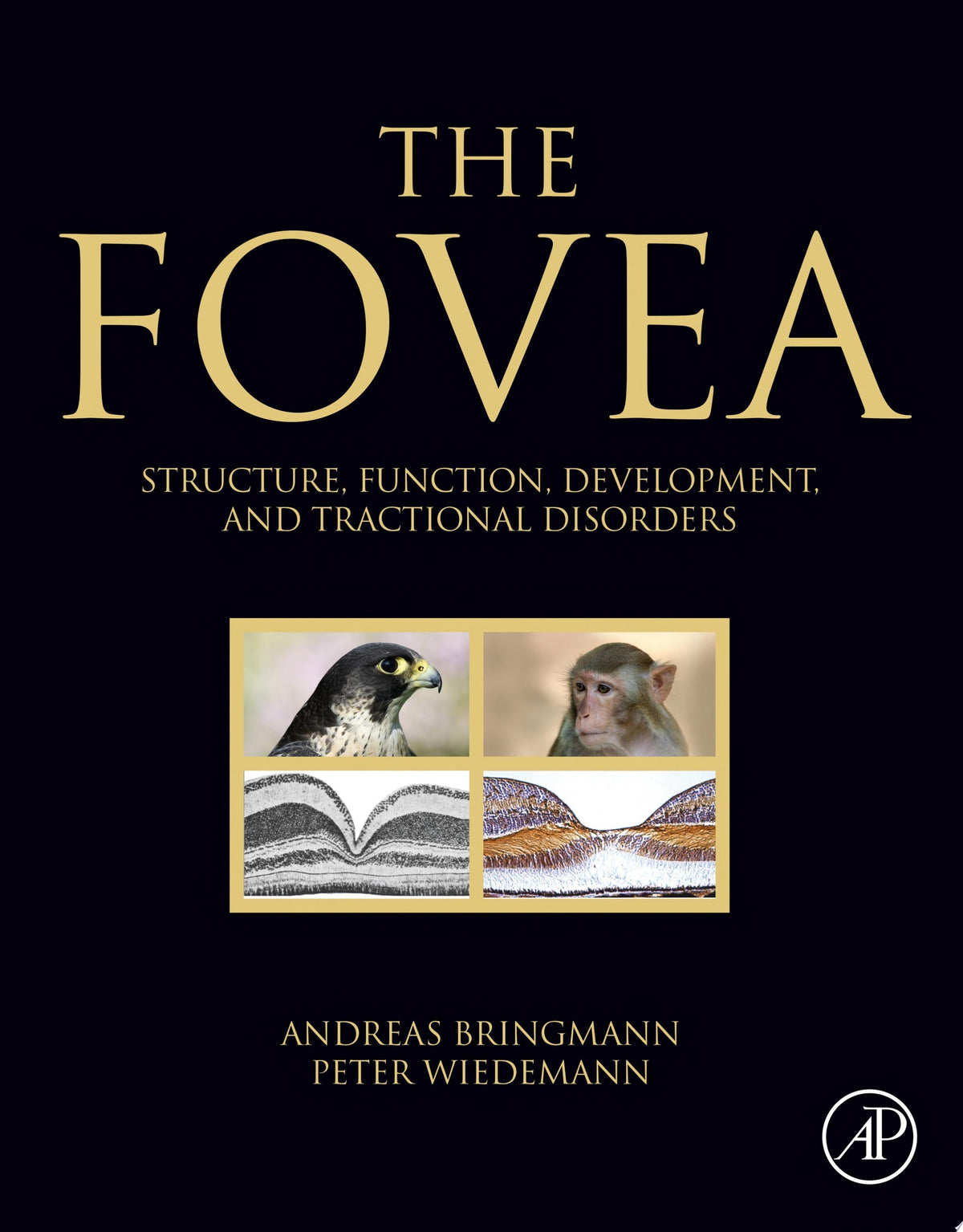 The Fovea Structure Function Development 1st Edition by Elsevier PDF